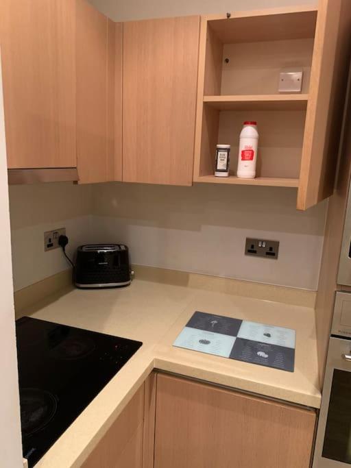 Stunning 2 Bed Flat! Centrally Located In London, Uk! Dış mekan fotoğraf